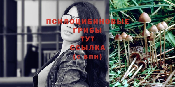 герыч Краснослободск