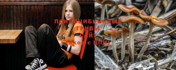 винт Лагань